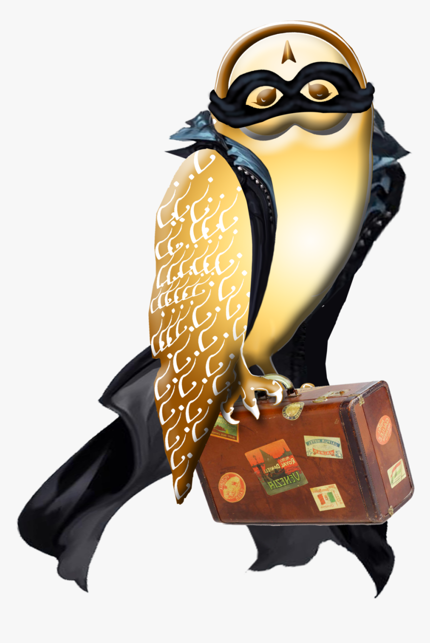 Owl Bandit No Gun - Penguin, HD Png Download