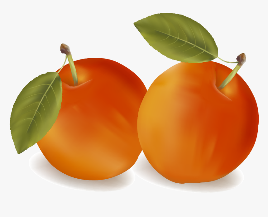 Fruit, HD Png Download