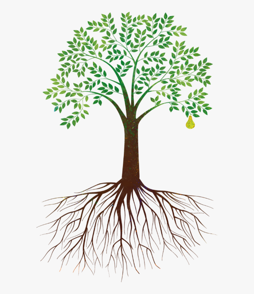 Clip Art Transparent Background Tree Of Life, HD Png Download