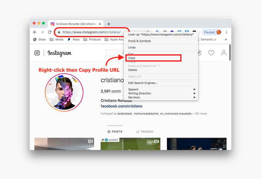 Instagram Profile Photo Download, HD Png Download