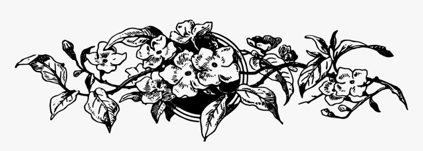 Decorative Divider - Victorian Era Border Png, Transparent Png