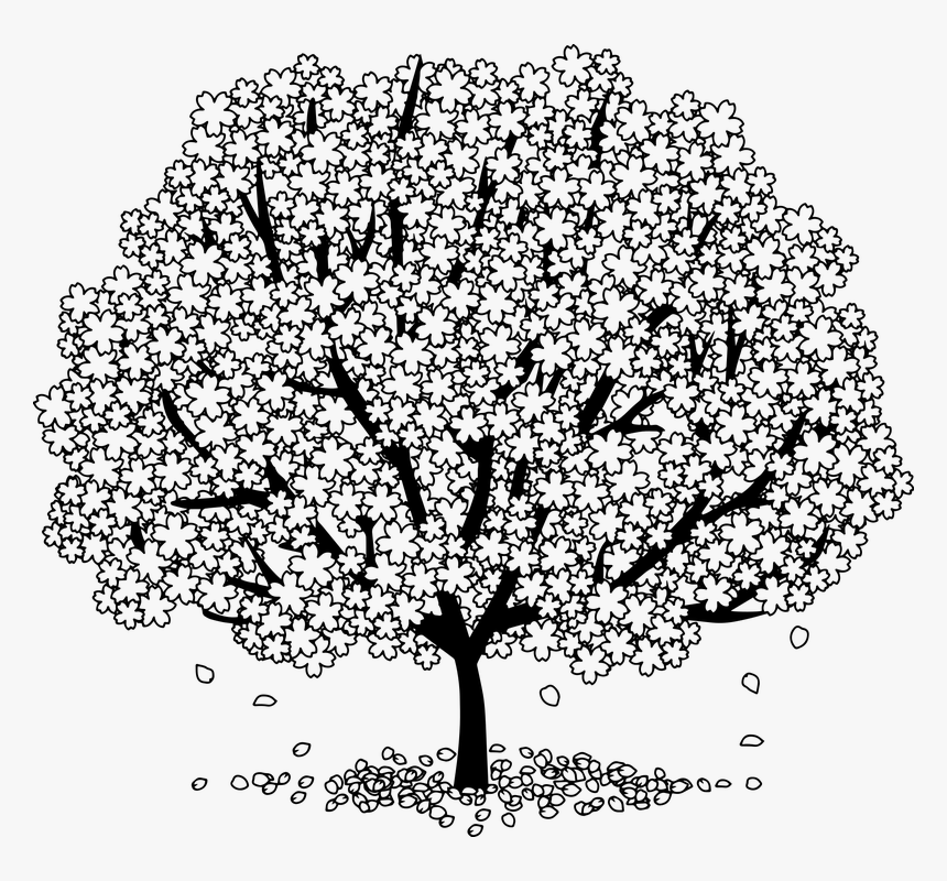 Tree, HD Png Download