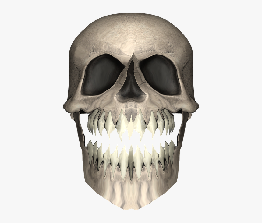 Skull, HD Png Download