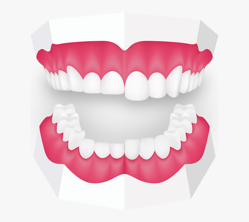 Tooth Grinding Toothbeary - Mouth Guard Clipart, HD Png Download
