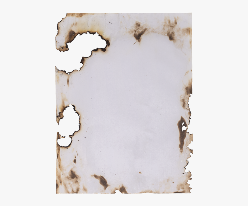 Wood, HD Png Download
