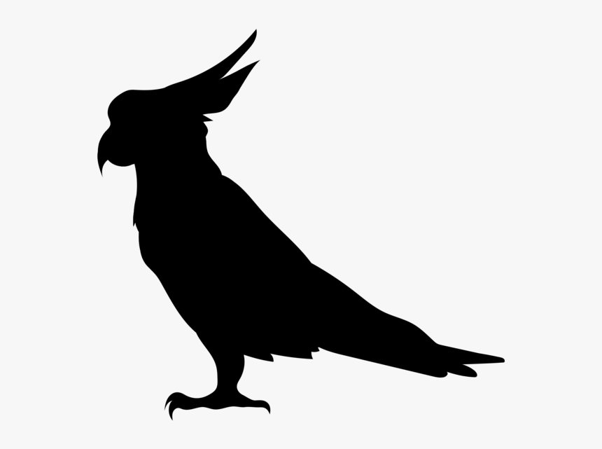 Transparent Parrot Head Clipart - Parrot Silhouette Clip Art, HD Png Download