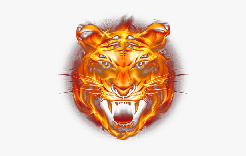 Tiger Flame Png, Transparent Png