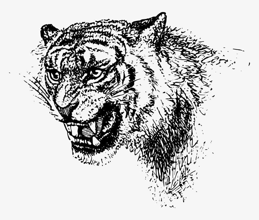 Tiger Head - Black Clip Art Tiger Free, HD Png Download