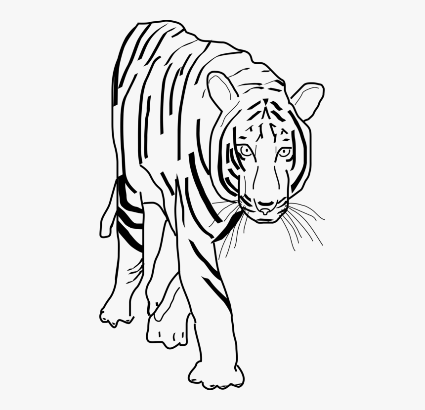 Monochrome - Tiger Black N White Clipart, HD Png Download