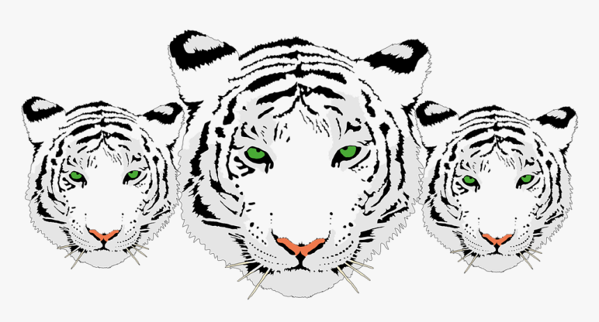 White Tiger Head Png, Transparent Png