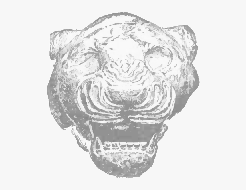 Chaldean Head Of A Lion - Jaguar, HD Png Download