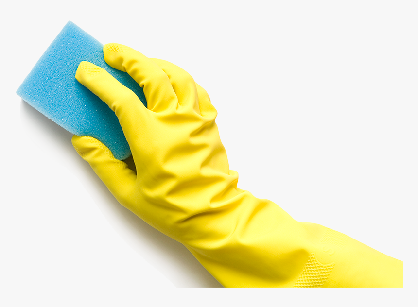 Washing Sponge In Hand Png - Hand With Sponge Png, Transparent Png