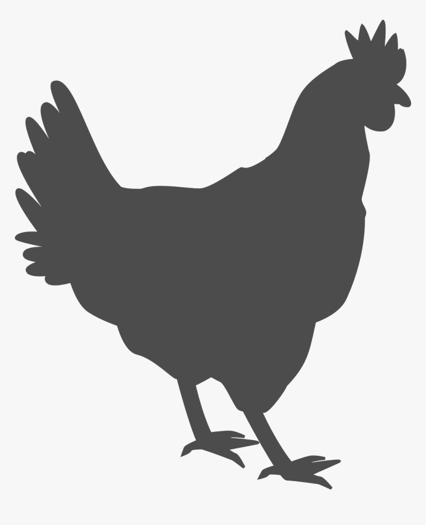 Black Chicken Outline, HD Png Download
