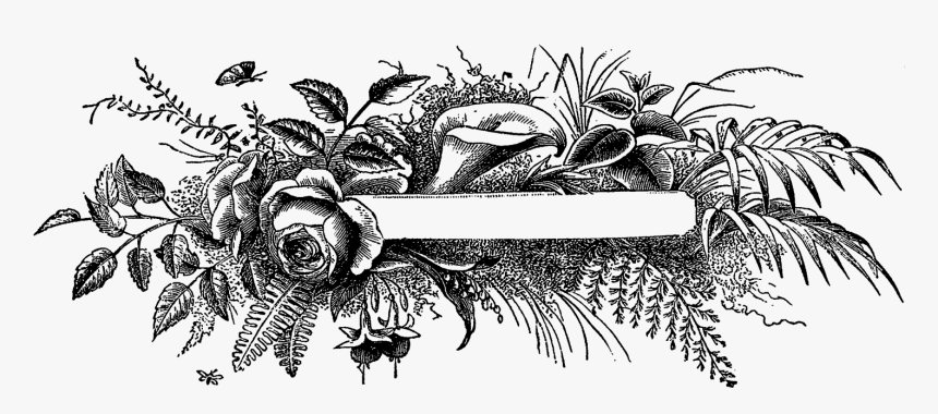Transparent White Blank Banner Png - Black And White Flower Banner, Png Download