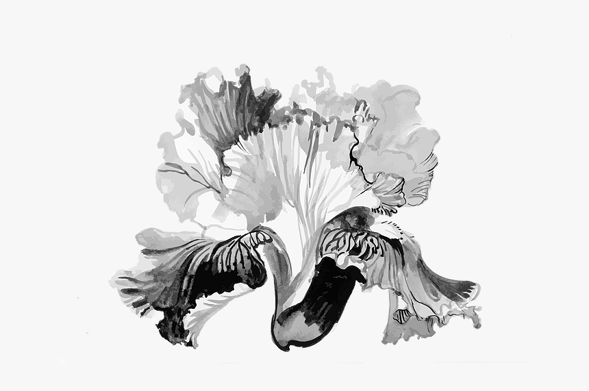 Bouquet, HD Png Download