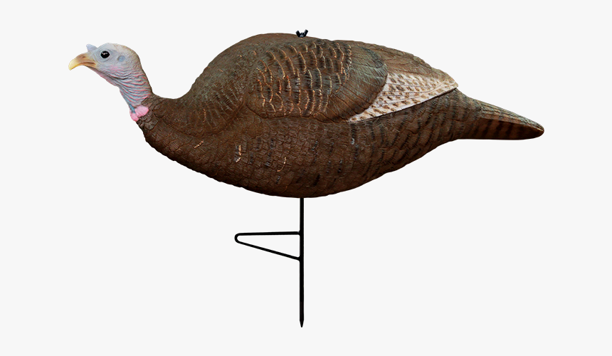 Gobbstopper Hen - Primos Gobbstopper Hen Decoy, HD Png Download