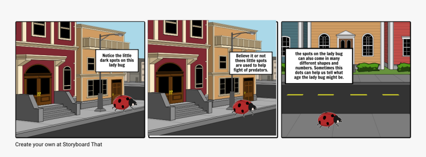 Lady Bug Png, Transparent Png