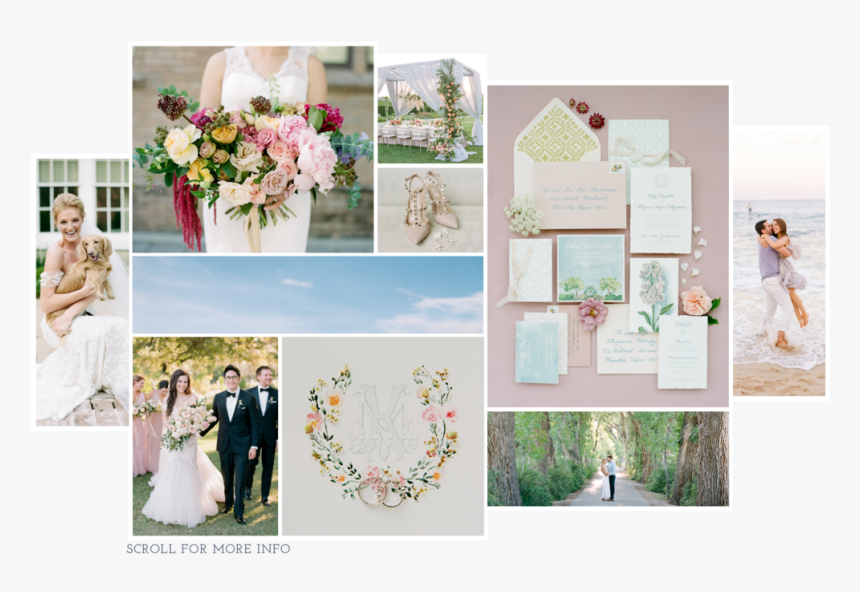 Homepage11119-1 - Garden Roses, HD Png Download