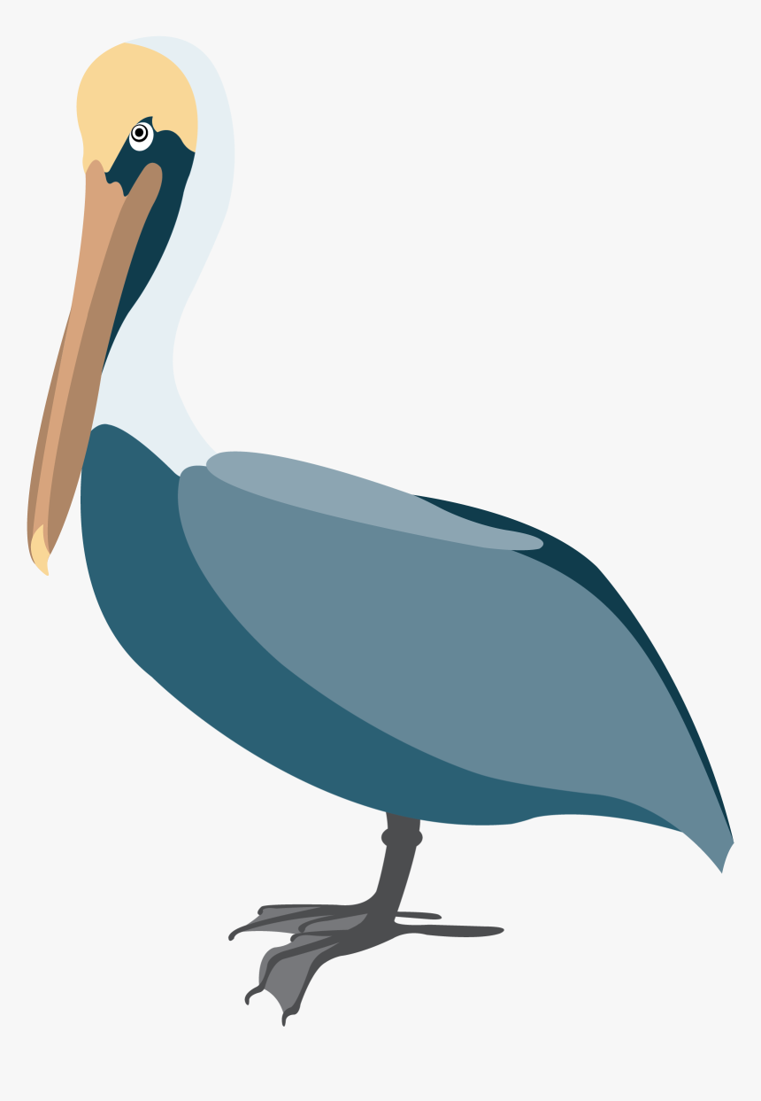 Pelican Vector Clip Art - Pelican Png Vector, Transparent Png