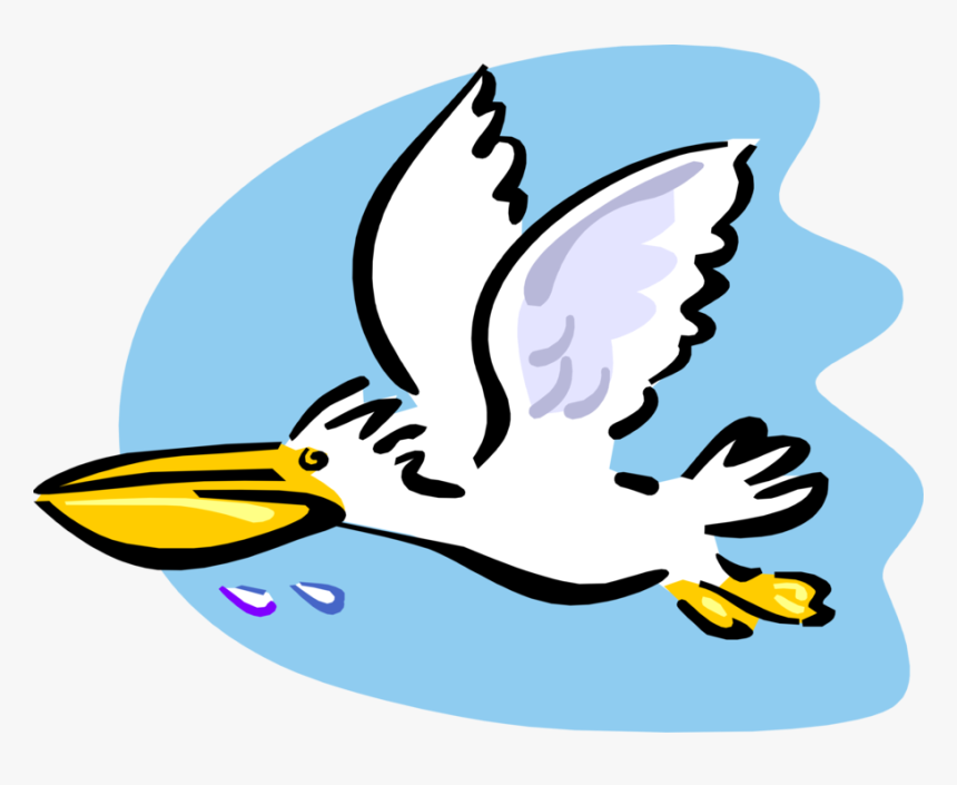 Vector Illustration Of Large Water Bird Pelican Flying - Cartoon Pelican Flying, HD Png Download