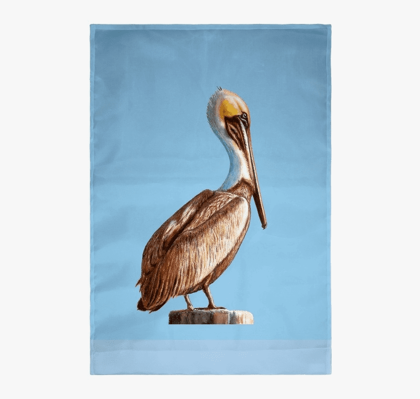 Brown Pelican, HD Png Download