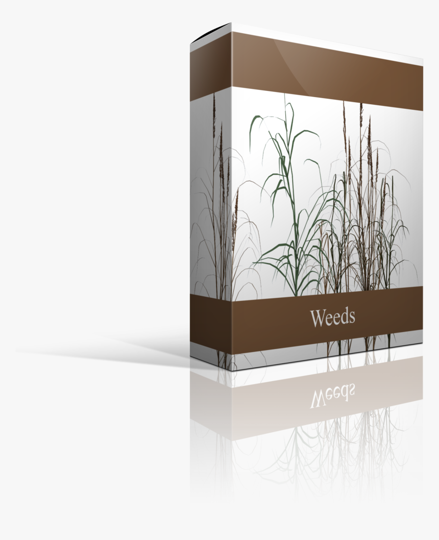 Twig, HD Png Download