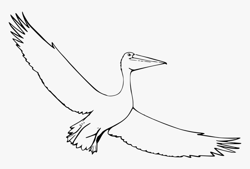 Pelican Flying Drawing, HD Png Download