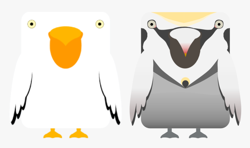 Seabird, HD Png Download