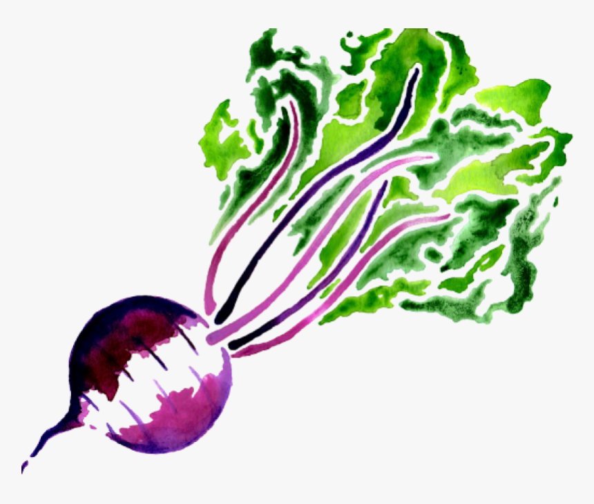 Beet Png Image - Portable Network Graphics, Transparent Png