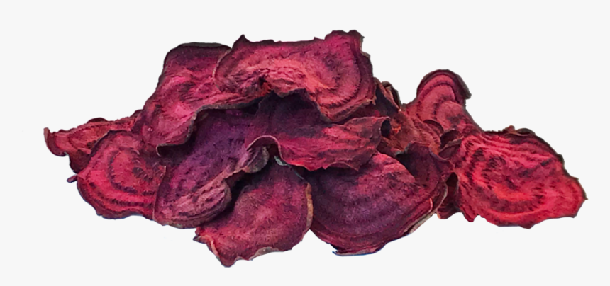 Sweet Chips Img 8639 - Artificial Flower, HD Png Download