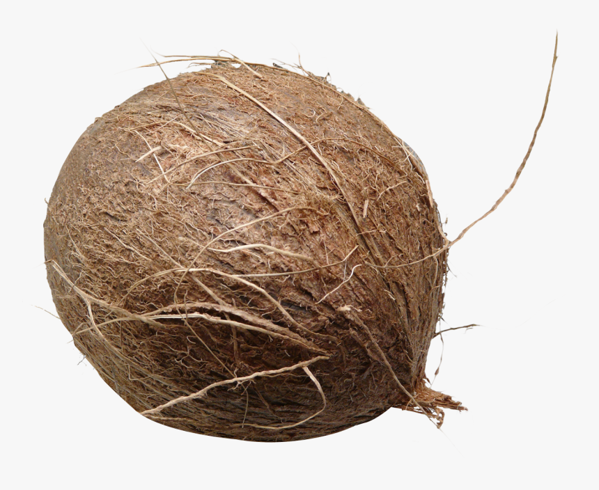 Brown Coconut Png, Transparent Png
