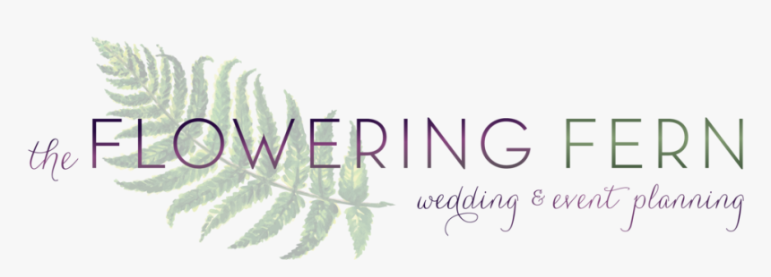 Ostrich Fern, HD Png Download