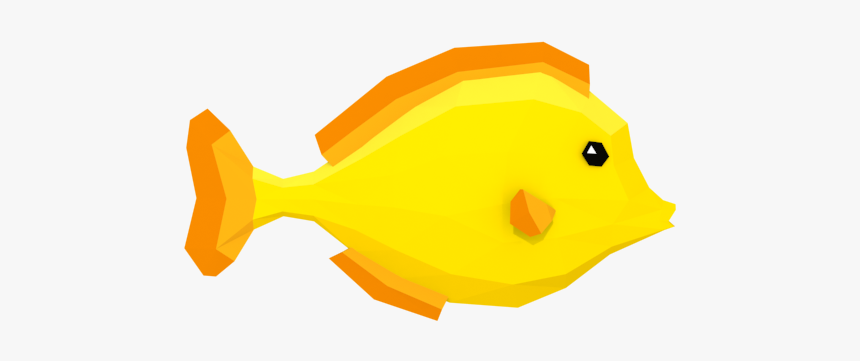 Pomacentridae, HD Png Download