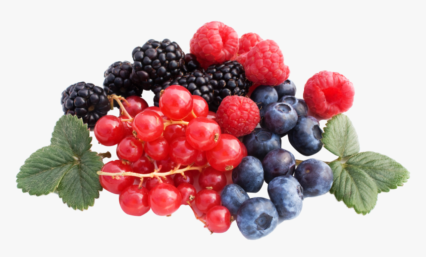 Berries Png, Transparent Png