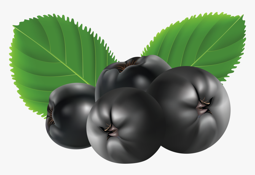 Blueberries Png - Aronia Clipart, Transparent Png