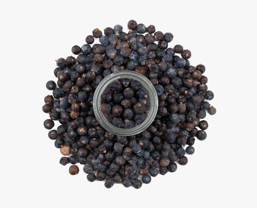 Juniper Berries 3 - Juniper Berry, HD Png Download