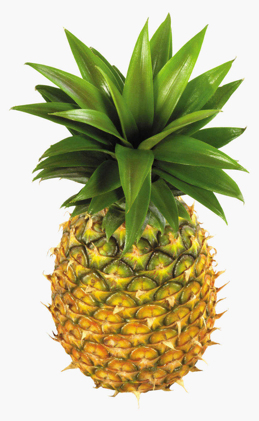 Pineapple Png Image - Pineapples Png, Transparent Png