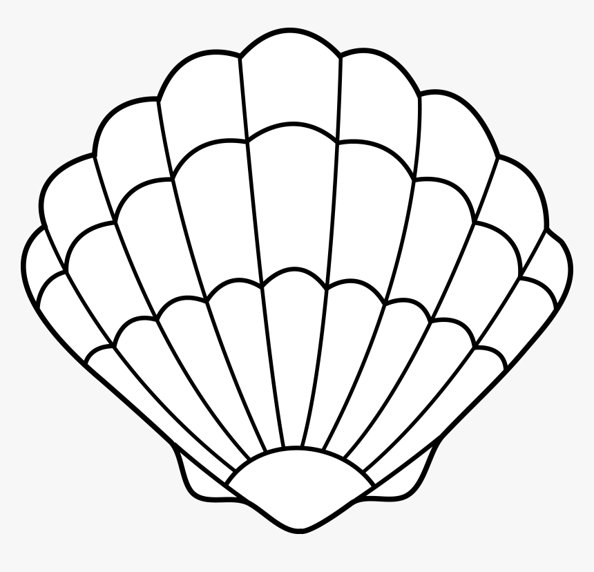 Shell Black And White Clipart, HD Png Download