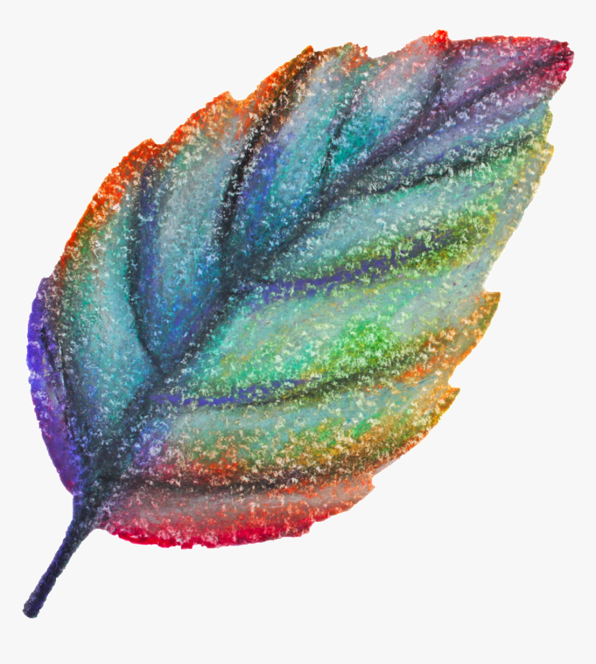 Lavender , Png Download - Lavender, Transparent Png