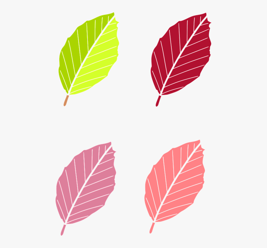 Leaf Colored Vector Png, Transparent Png