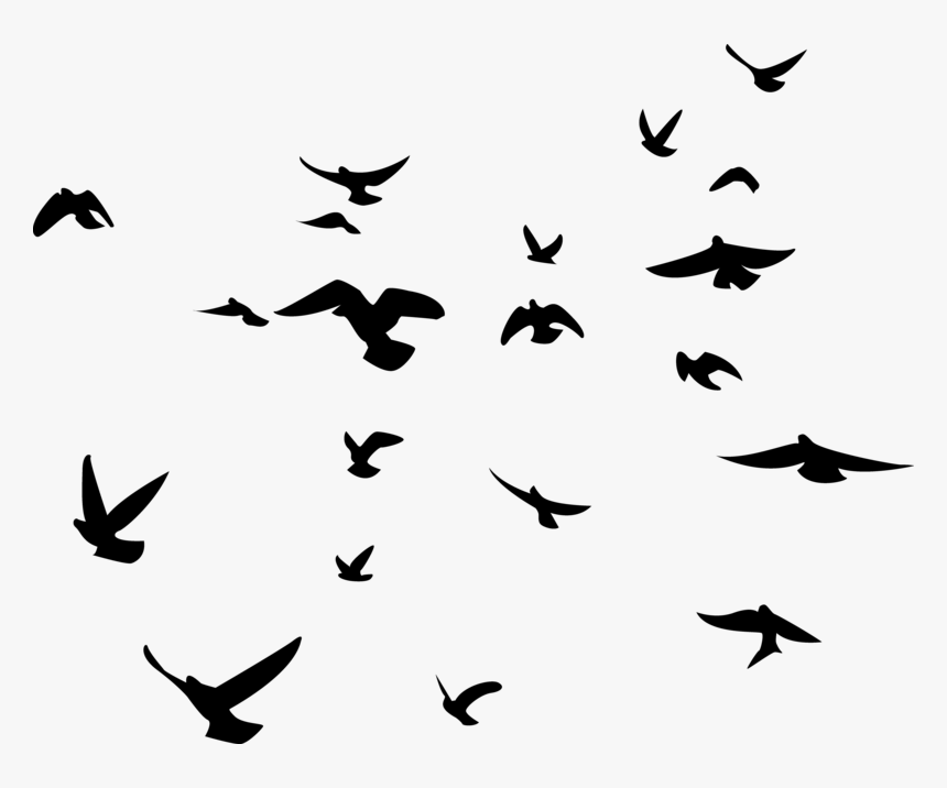 Bird Background Birds Transparent - Flock Of Birds Silhouette Png, Png Download