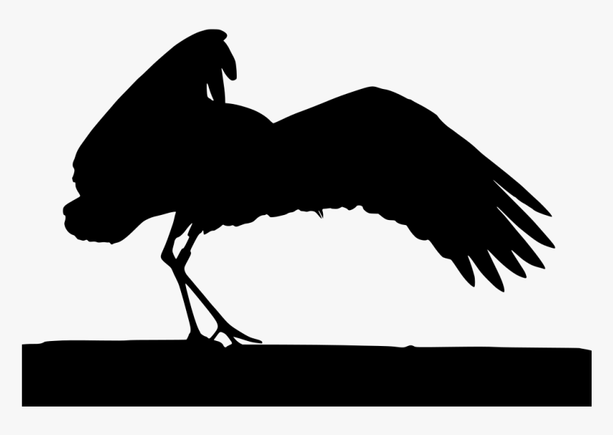 Chicken, HD Png Download