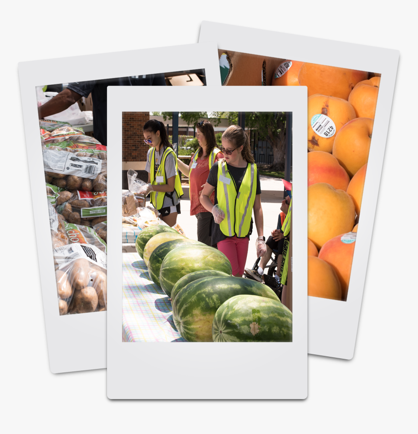 Picture Frame, HD Png Download