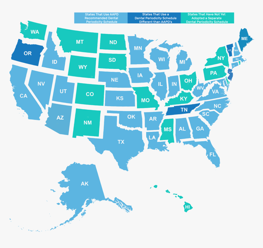 Flesh Eating Bacteria Florida 2019, HD Png Download