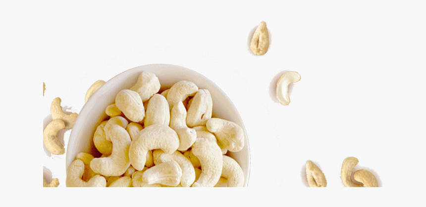 Cashew, HD Png Download
