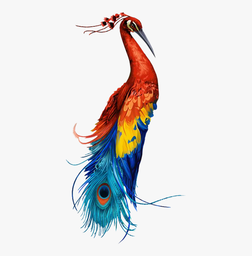 Тату Жар Птица Эскизы, HD Png Download