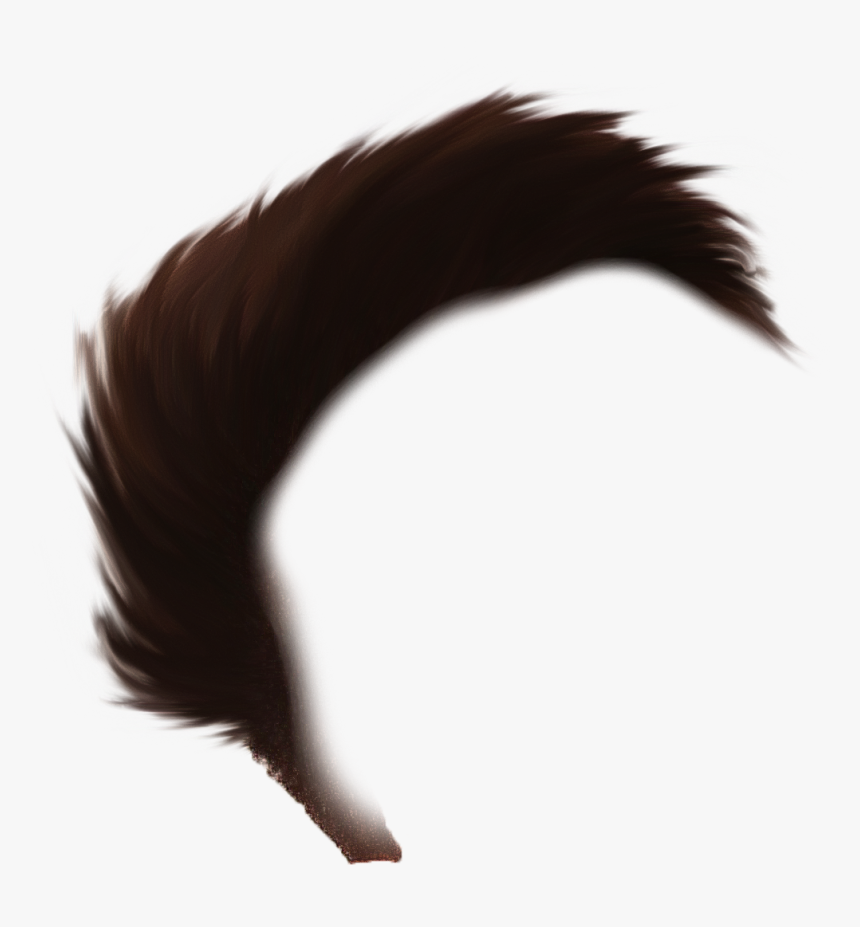 Hair Png - Close-up, Transparent Png