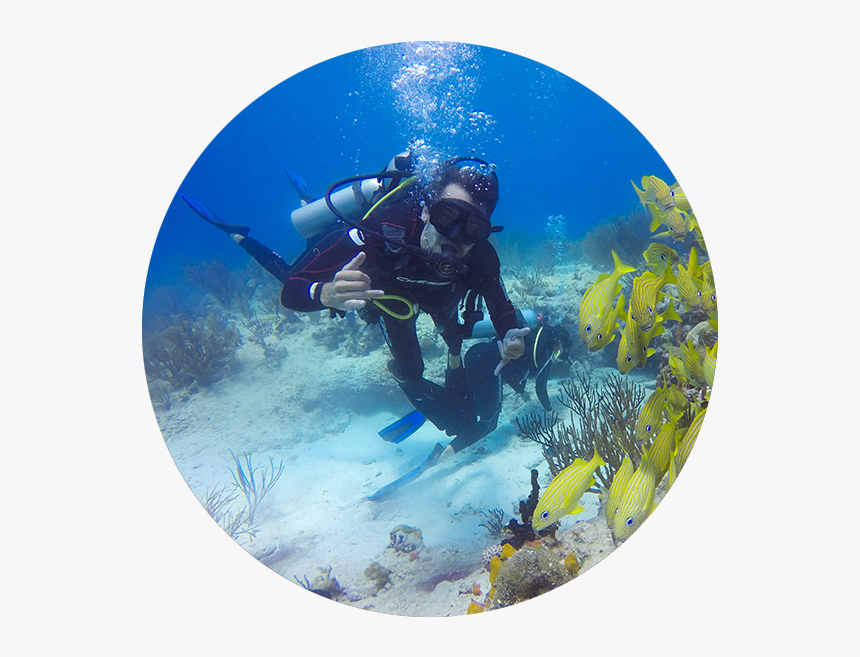 Underwater, HD Png Download