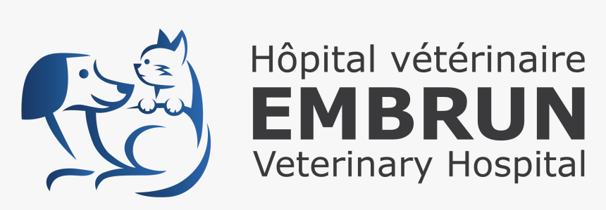 Cat, HD Png Download