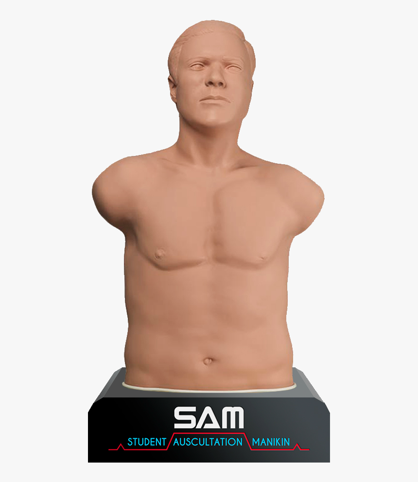 Auscultation - Sam Auscultation Manikin, HD Png Download